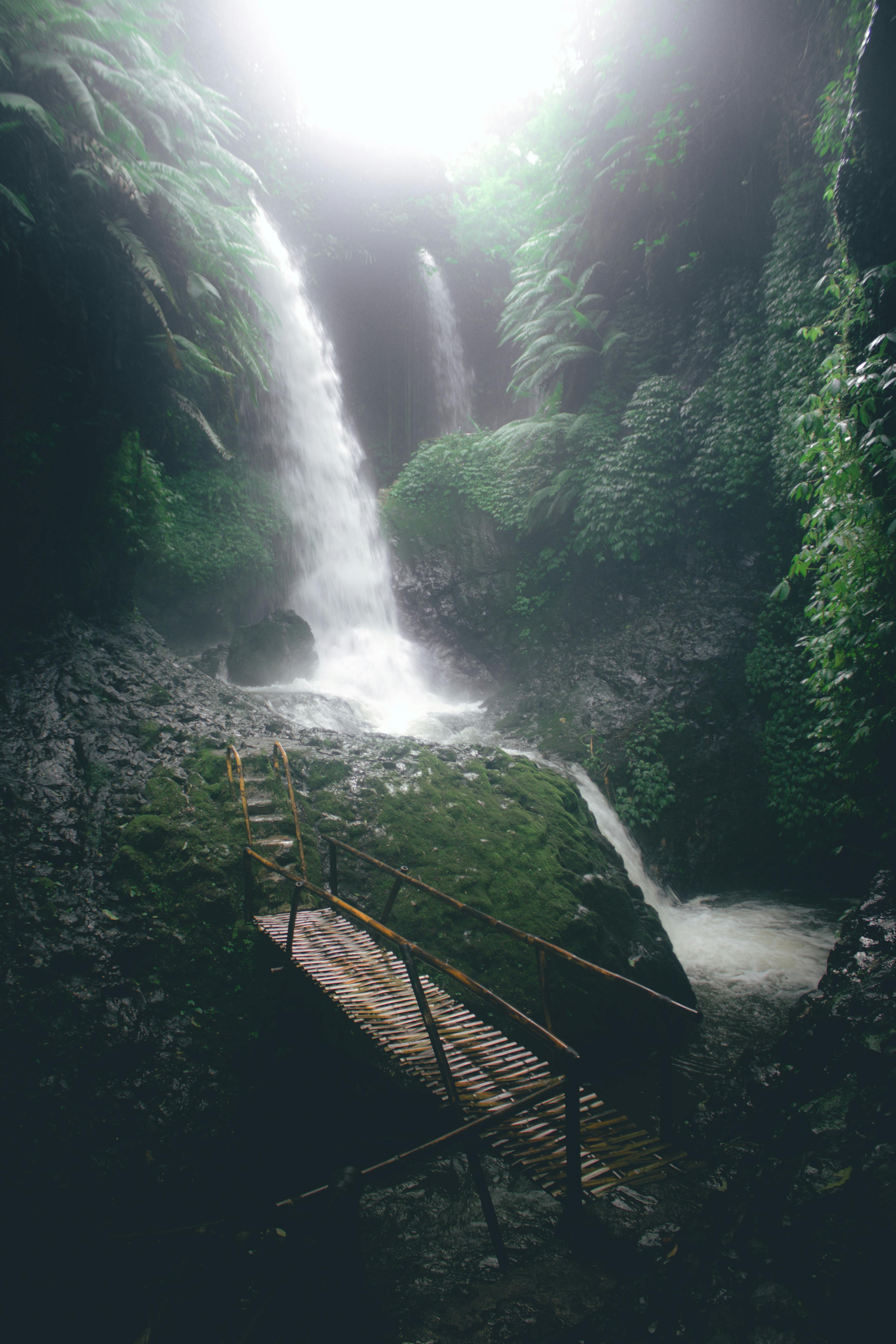 Hidden Waterfall Paradise Image