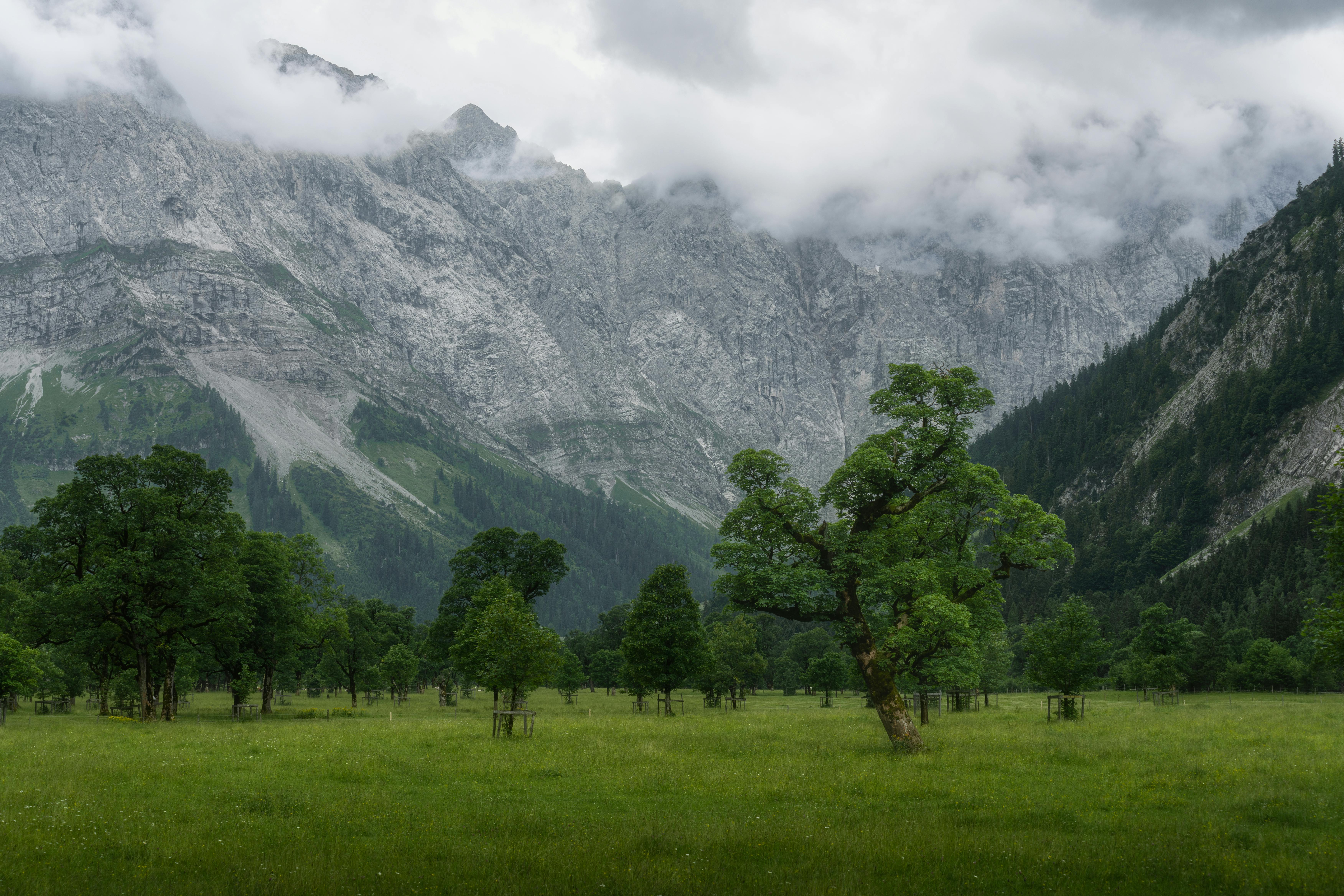 Majestic Mountain Valley Image